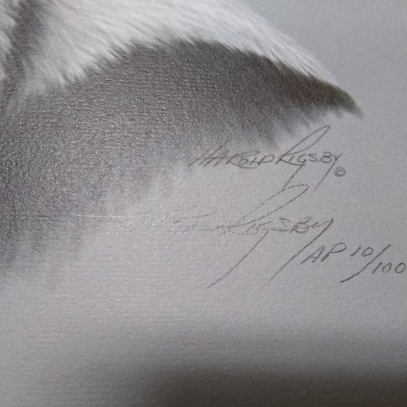 Panda II AP 10/100 by Harold Rigsby Signed - Picture 7 of 9